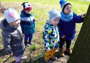 Dzieci obserwują korę drzewa